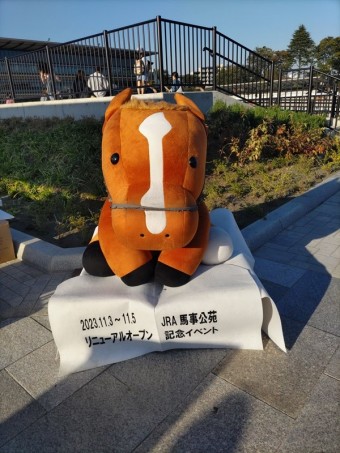 あああ DSC_0766_R1-e1700719998121